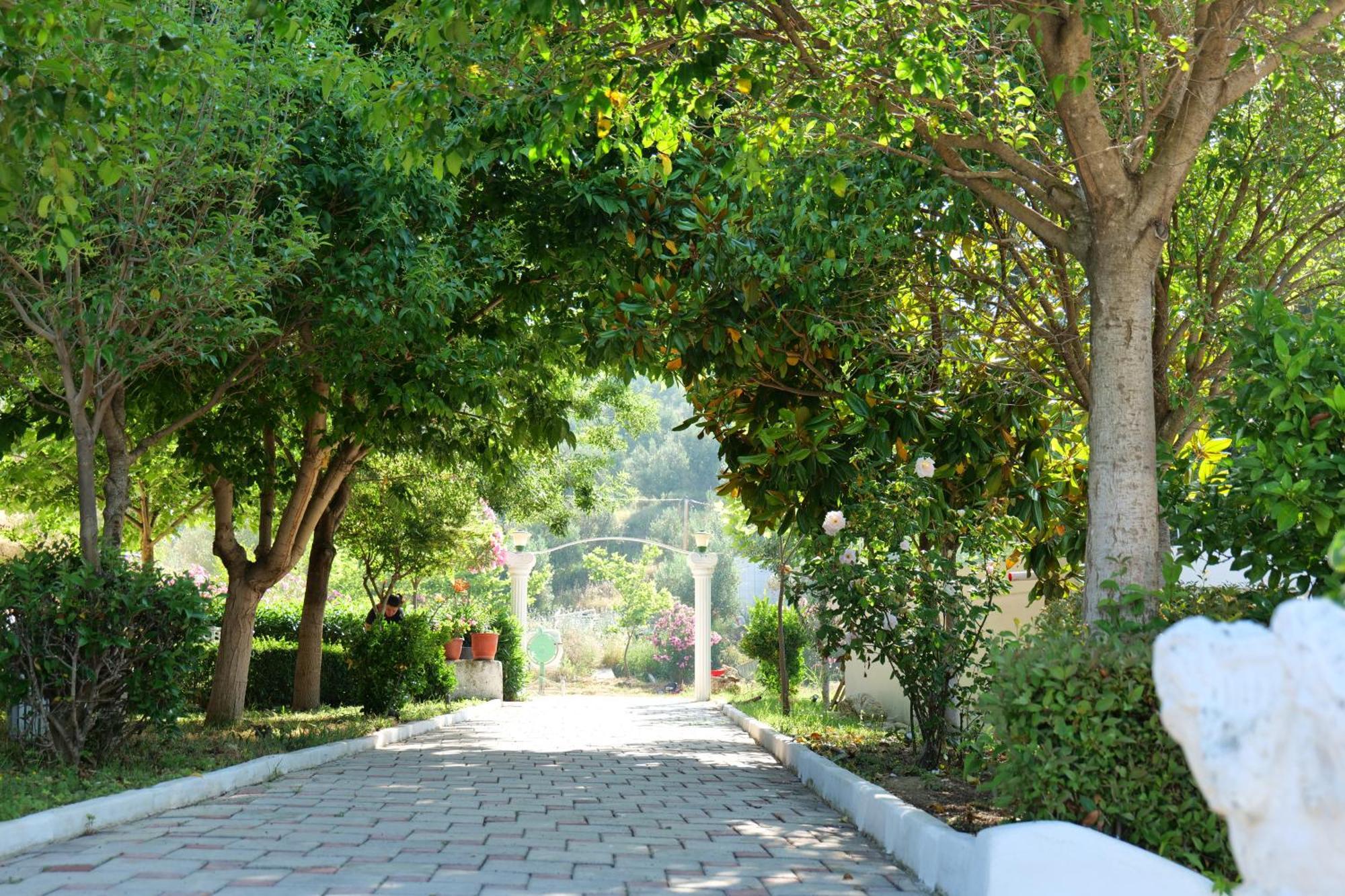 Edva Resort Radhimë المظهر الخارجي الصورة